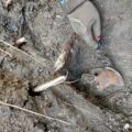Odnalezione szczątki Polaków, ofiar ukraińskich nacjonalistów