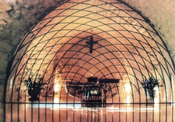 Lilia z Himlaja. Św. Rafka (1832–1914) (III)