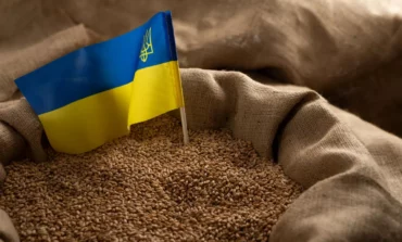 Litwa przeznaczy 2 miliony euro na pomoc w eksporcie zboża z Ukrainy