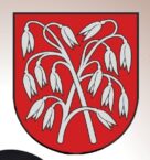 Uroczystość nadania herbu oraz sztandaru wsi Awiżenie