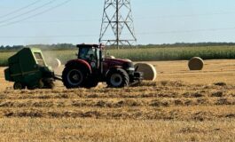 Rosjanie na okupowanych terytoriach dewastują uprawy zboża