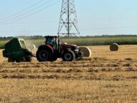 Rosjanie na okupowanych terytoriach dewastują uprawy zboża