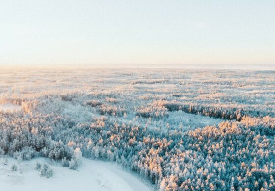 Finlandia zamyła 8 punktów kontrolnych na granicy z Rosją