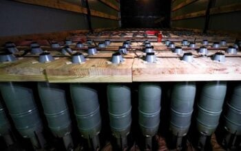 Czechy są gotowe wspierać wojskowo Ukrainę. Może jednak nastąpić zwrot