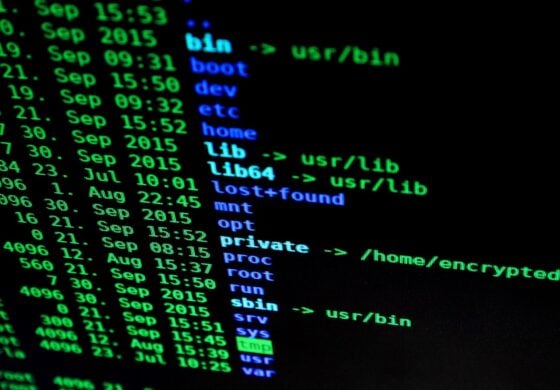 Tego jeszcze nie było! Ukraińcy zhakowali system podatkowy Rosji
