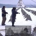 Linia obrony na granicy ukraińsko-białoruskiej