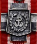 79 lat temu rozwiązana została Armia Krajowa