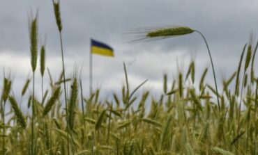 Polska na razie nie zniesie zakazu importu ukraińskiego zboża