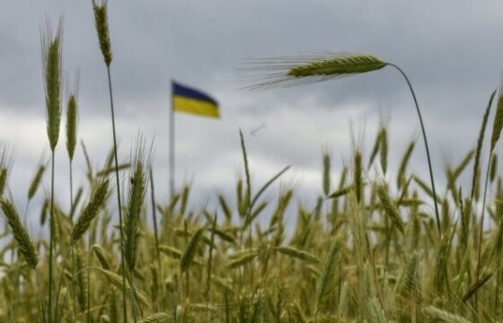 Polska na razie nie zniesie zakazu importu ukraińskiego zboża