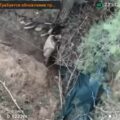 Oddziały szturmowe Sił Zbrojnych Ukrainy
