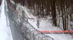 Białorusini naruszyli granicę z Litwą. Wilno reaguje