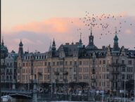 Największy pakiet pomocowy dla ukraińskiego wojska: Zełenski zwrócił się do premiera