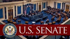 Senat USA przyjął pakiet pomocy dla Ukrainy
