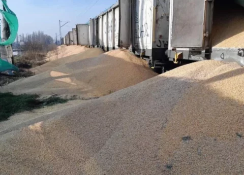 W nocy z soboty na niedzielę na bocznicy kolejowej w Kotomierzu niedaleko Bydgoszczy otwartych zostało osiem wagonów, z których wysypało się 160 ton ukraińskiej kukurydzy. Fot. twitter.com/Oleksandr Kubrakov
