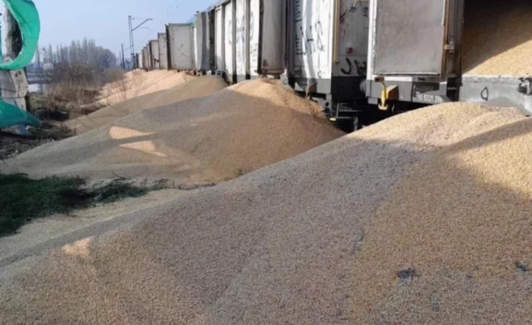 Zełenski zdumiony niszczeniem transportów ukraińskiego zboża; wzywa polski rząd do „rozwiązania problemu”