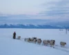 Rząd Mongolii ogłosił stan klęski żywiołowej