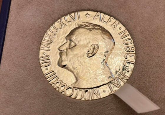 Nobliści z całego świata apelują do Polski