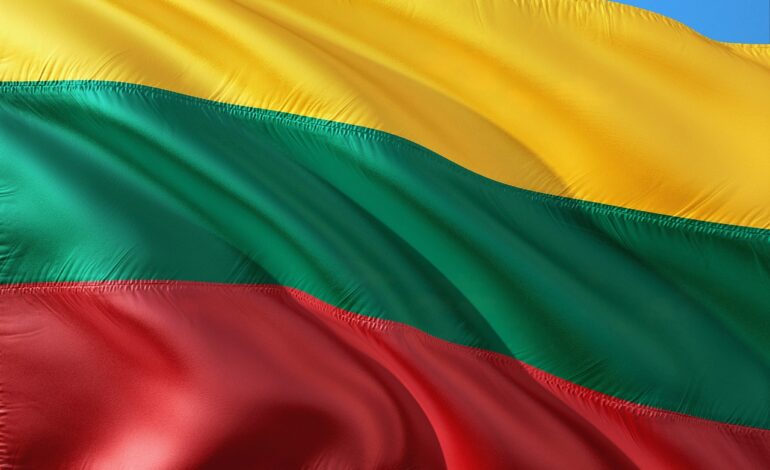 Sondaż: Litwini nie chcą rozmieszczenia wojsk na Ukrainie