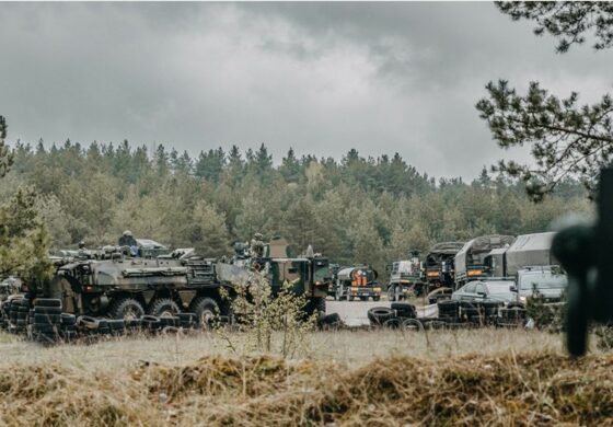 Litwa wyśle swoich żołnierzy na Ukrainę. Padła deklaracja!