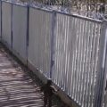 Migranci na granicy. Fot. Youtube.com - Straż Graniczna