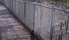 Coraz większe fale migrantów atakują granicę. Straż Graniczna podała liczby Coraz większe fale migrantów atakują granicę. Straż Graniczna podała liczby