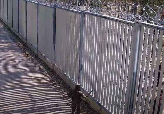 Coraz większe fale migrantów atakują granicę. Straż Graniczna podała liczby