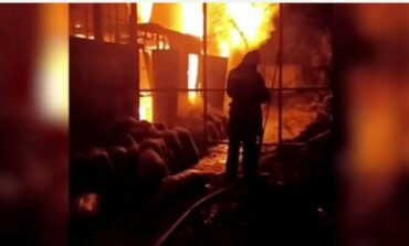 Pożar ZOO na okupowanym na Krymie. Zginęło ponad 200 zwierząt