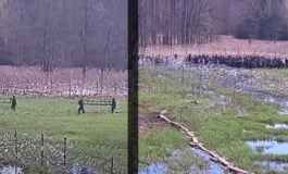 Szturm ponad 220 migrantów z Białorusi na polską granicę. „Rzucali konarami drzew i kamieniami”