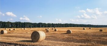 Ceny gruntów rolnych na Ukrainie gwałtownie poszły w górę. Duży biznes wchodzi do gry, a rolnicy biją na alarm!