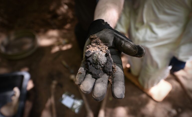 Będą ekshumacje. Ale... nie ofiar rzezi wołyńskiej