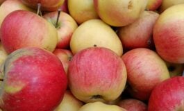 Owoce Kresów w kuchni i domowej aptece (1)