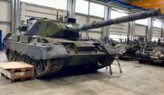 Stare, ale jare? Twardy wyprzedził Leopardy