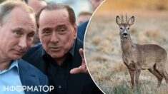 Putin zrobił to z sarną! Szokująca relacja włoskiego polityka