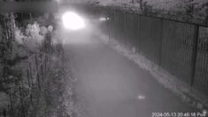 Niebezpiecznie na granicy z Białorusią. Do tego posuwają się migranci (WIDEO)