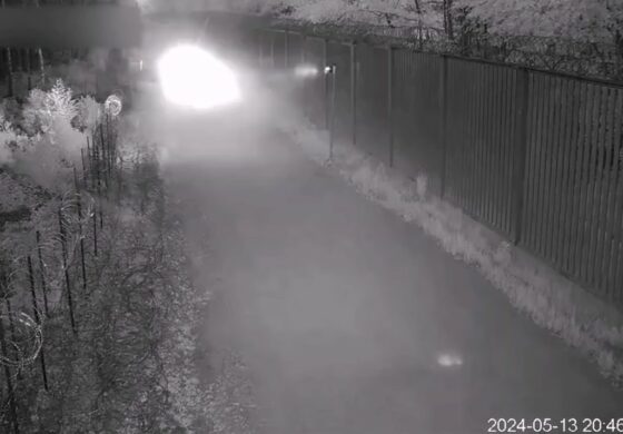 Niebezpiecznie na granicy z Białorusią. Do tego posuwają się migranci (WIDEO)