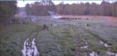 Tego jeszcze nie było. Na granicy z Białorusią nielegalny migrant okradł polskiego strażnika granicznego