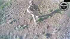 Rosyjski nożownik kontra dron (WIDEO)