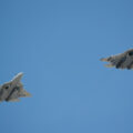 Su-57