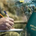 Mobilizacja na Ukrainie / Fot. TSN.ua