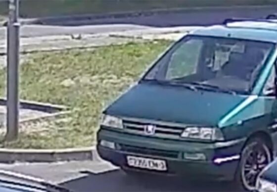 Białoruś: Zostawił psa w samochodzie, ten wsiadł za kierownicę i odjechał. To nie żart (WIDEO)