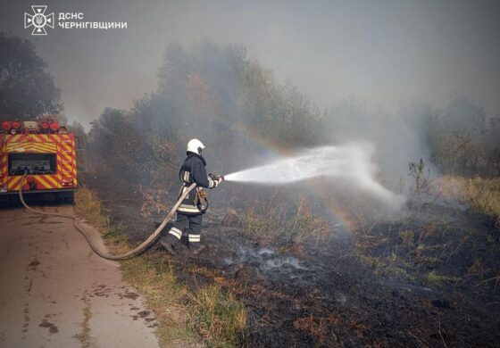 Rosjanie podpalają lasy na Ukrainie