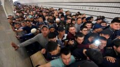 Mają, co chcieli. W ciągu roku uciekło 2,3 mln imigrantów