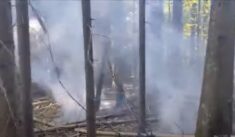 Pożar w Puszczy Białowieskiej. Ogień mogli zaprószyć migranci