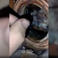 Screen z nagrania: ukraiński wywiad wojskowy
