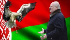 Białoruś wymiera piorunem! Bociany omijają ją szerokim łukiem…