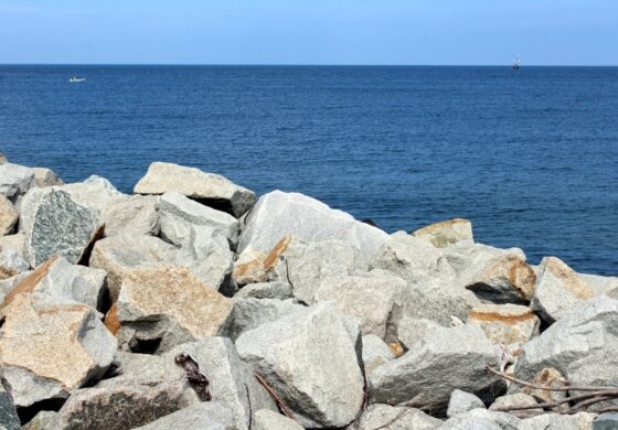 Znowu uszkodzili podwodne łącze. Tym razem energetyczne. Finlandia zatrzymała sprawcę