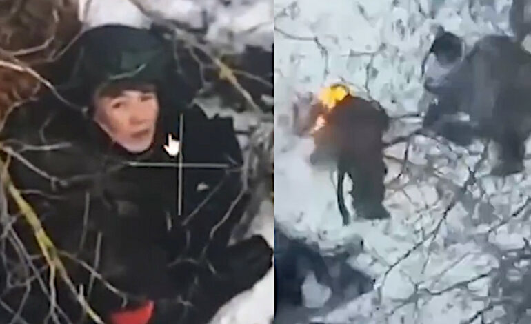 Koreańczycy dostają baty? Doślą ich więcej