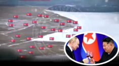 Samozagłada Koreańczyków! Idą stadem pod ogień dział, jak owce do rzeźni (WIDEO)