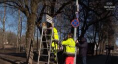 Zażądali usunięcia tablic z nazwami miejscowości w języku polskim. Sąd orzekł!