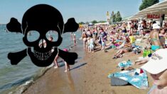 Koncentracja rakotwórczego benzopirenu: 2150% normy! Miłego opalania… Koncentracja rakotwórczego benzopirenu: 2150% normy! Miłego opalania…